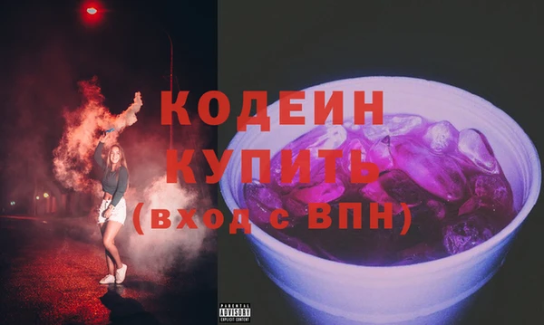 тгк Гусев