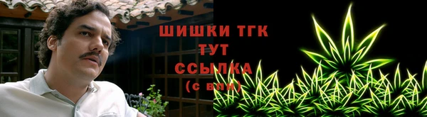 прущие грибы Абинск