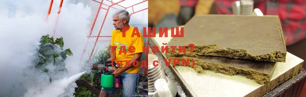 прущие грибы Абинск