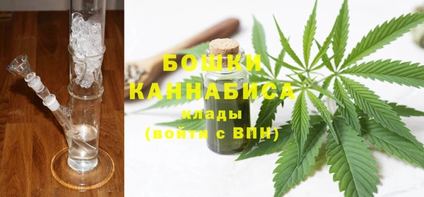 гидра Абаза